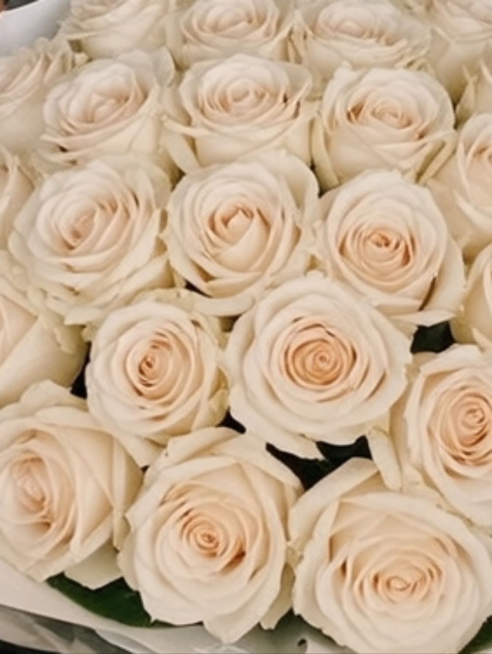 Meet your Posher, Shay